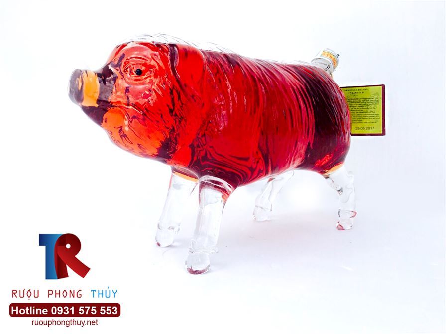 rượu heo 2019