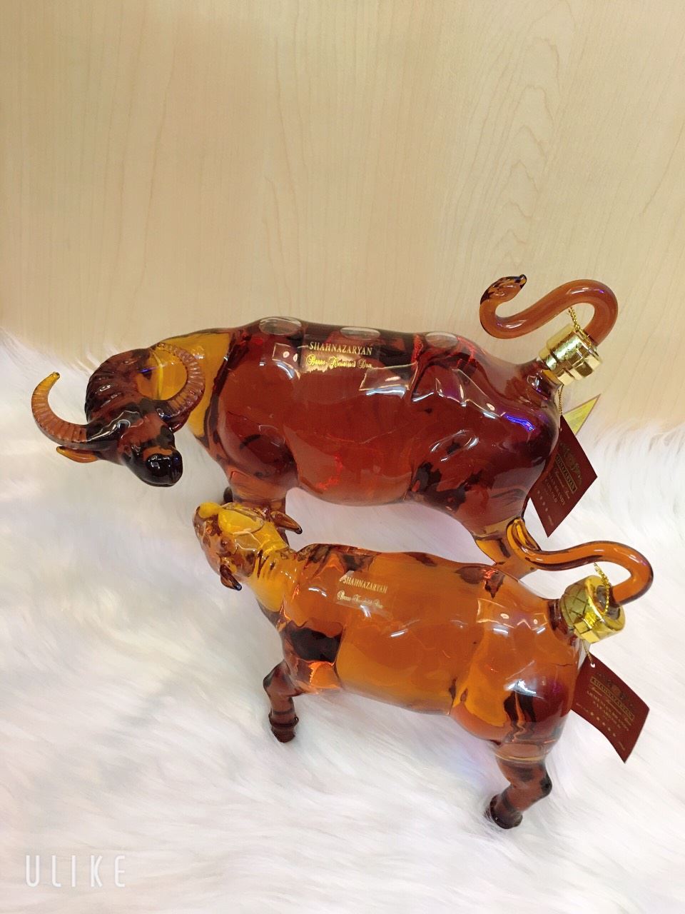 Rượu tr&acirc;u nga